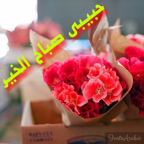 صباح الخير حبيبي