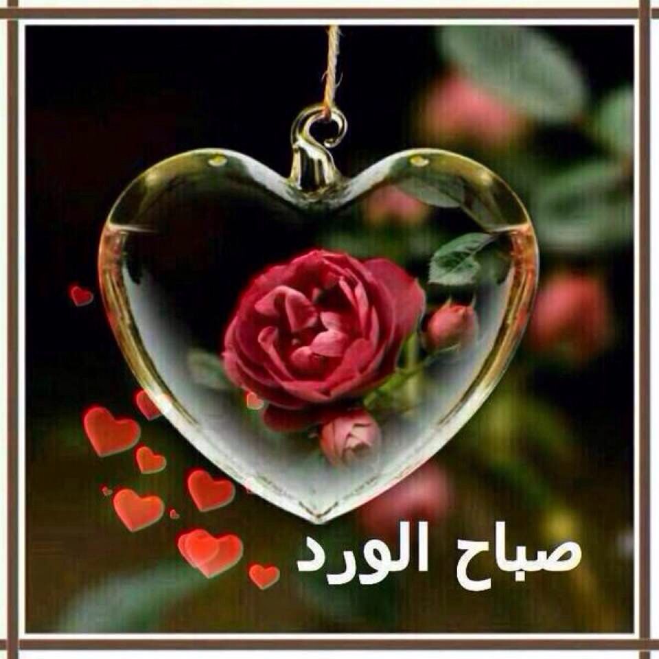 صباح الخير يا جميلتي