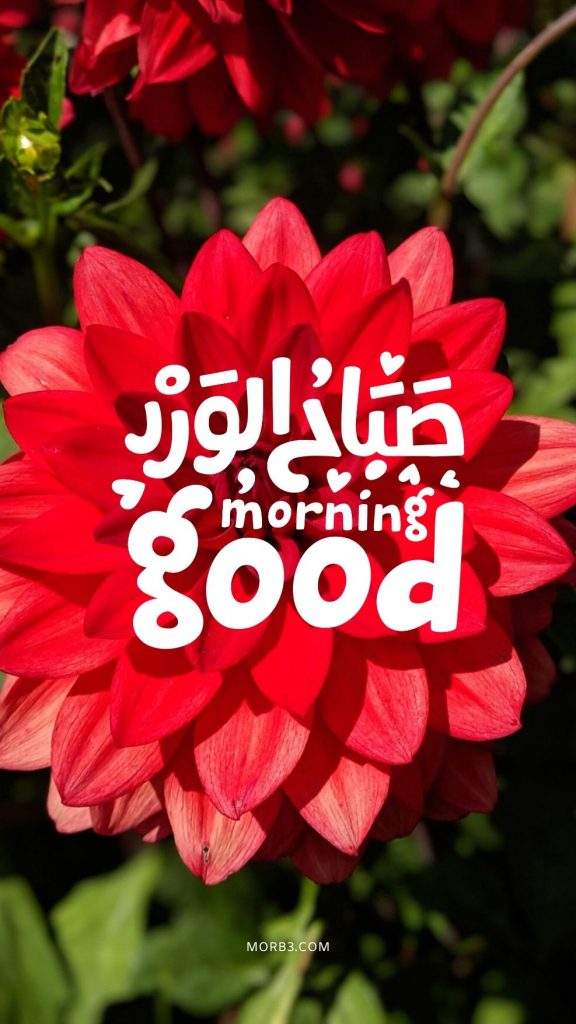 صباح الخير يا حبيبي