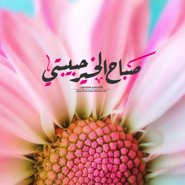 صباح الخير حبيبتي رسائل