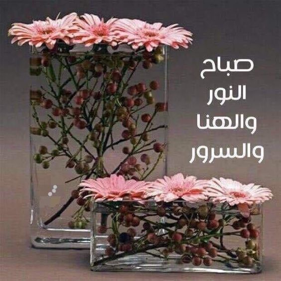 صباح النور والسرور