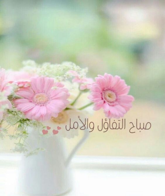 صباح النور والسرور