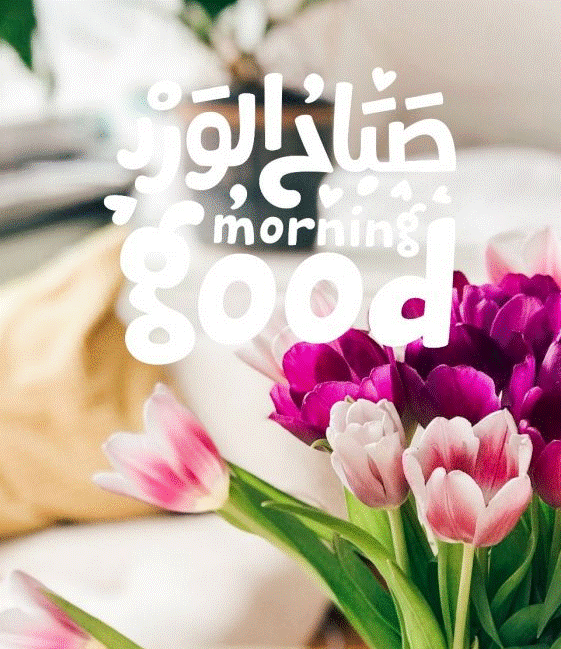 صباح الورد بالانجليزي  - عبارات صباح الخير بالانجليزي