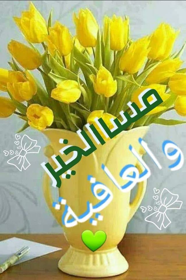 مساء الخير والعافية2