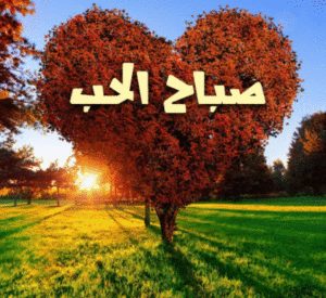 صباح الحب