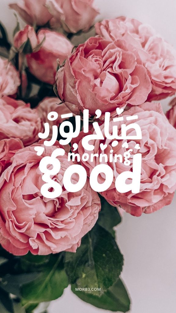 صباح جميل