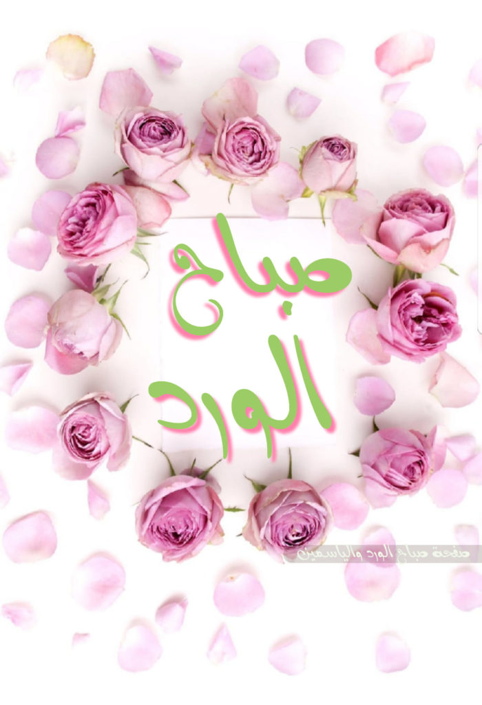 صباح الورد وعطره