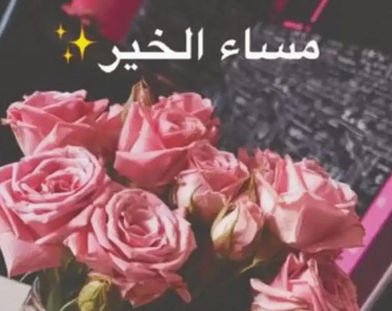 خلفيات مساء الخير 4
