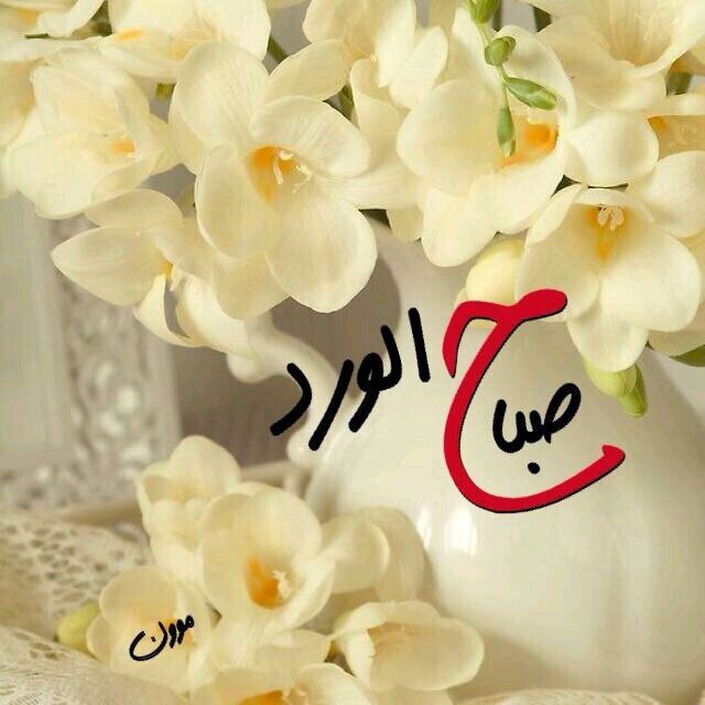 صباح الورد والياسمين للغالين