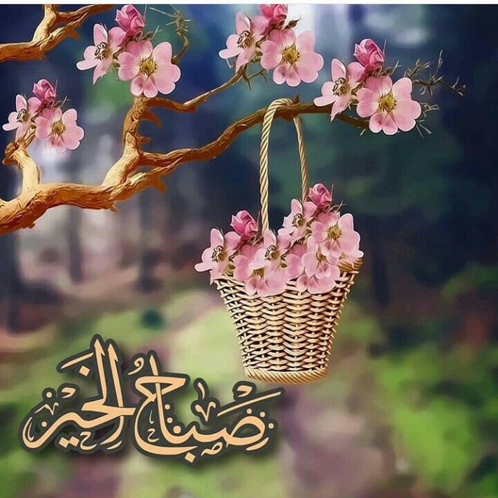 صباح الحب حبيبتي- صباح الخير زوجتي حبيبتي