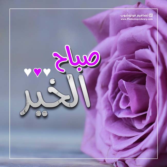 صباح الحب حبيبتي تويتر