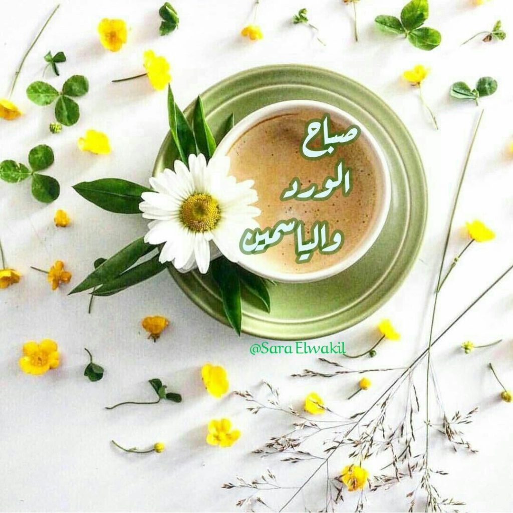 صباح الورد والياسمين