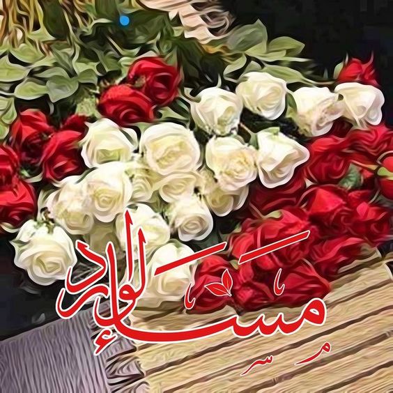 عبارات مساء الخير
