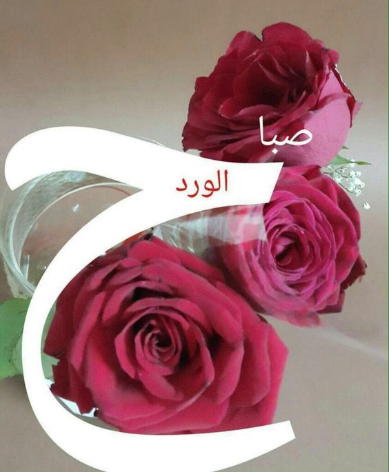 صباح الورد والياسمين