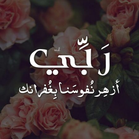 ملصقات سناب كلام 2021 ٤