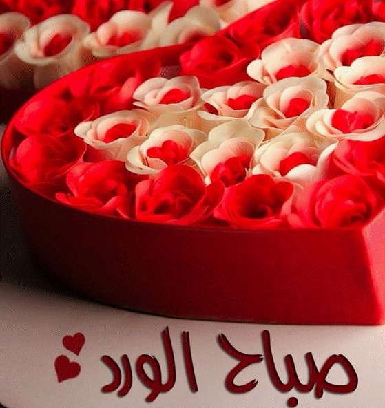صباح الورد من القلب