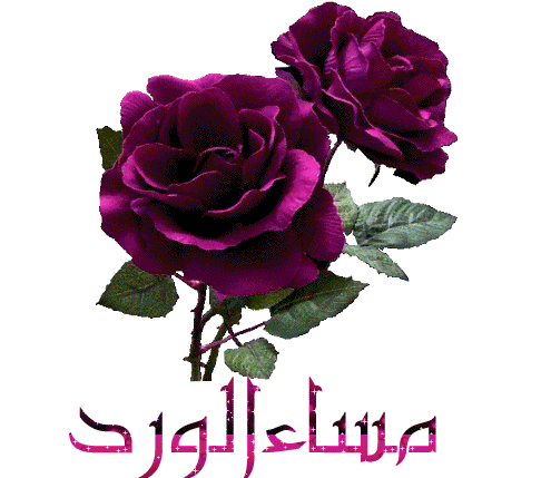 اجمل بطاقات مساء الخير متحركة1