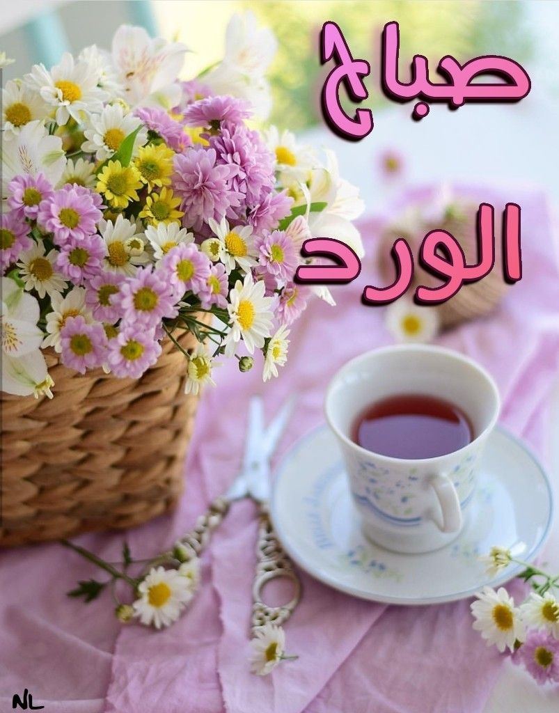 صباح الورد وعطره وعبيره