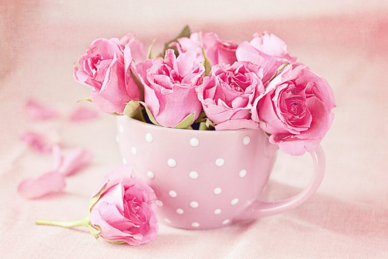 عبارات صباح الخير