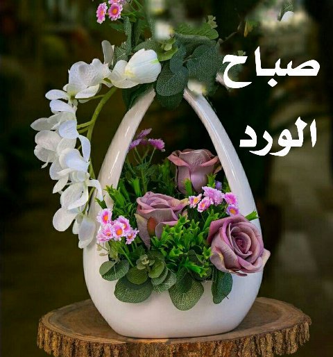 صباح النور والعافية