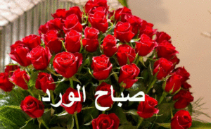 صباح الورد والحب