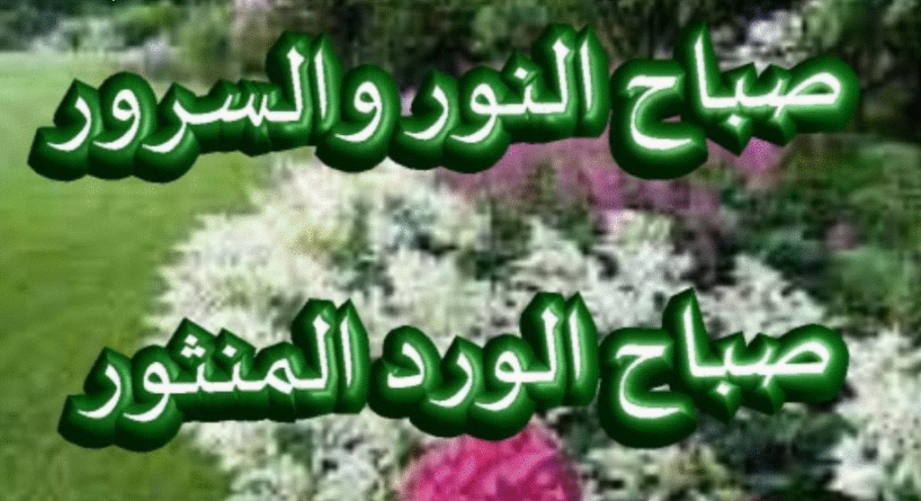 صباح النور والسرور والورد المنثور1