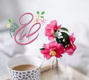 صباح النور والسعادة