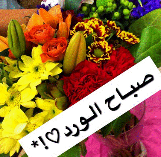صباح الورد