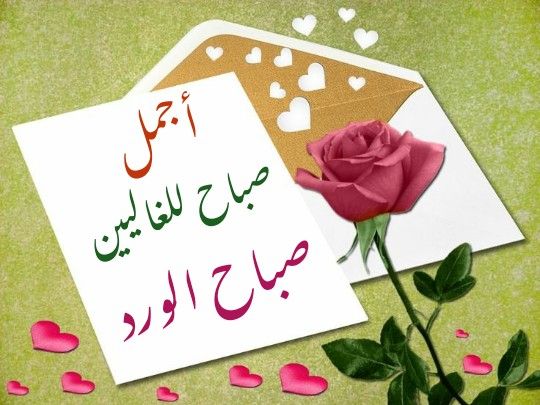 صباح الورد والفل والياسمين للغالين