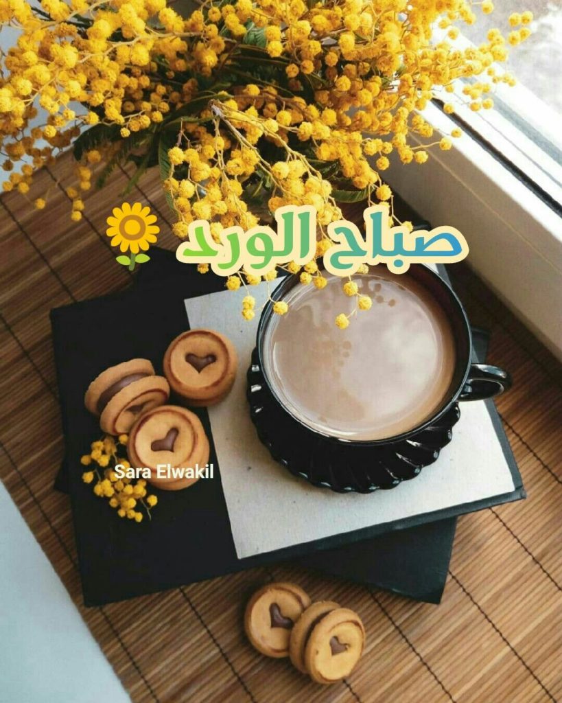 صباح الورد حبيبي