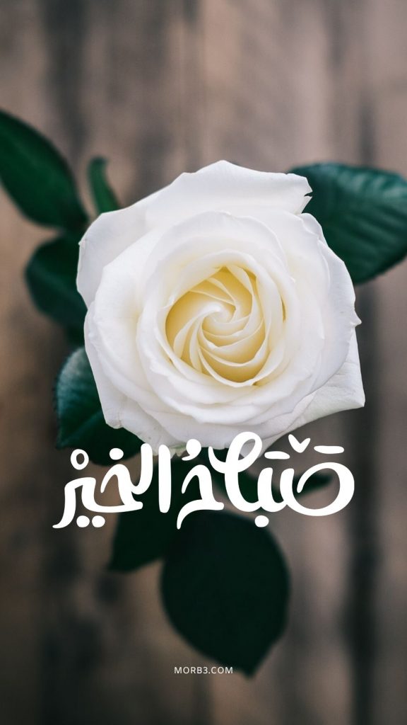 رسائل حب صباح الخير حبيبي