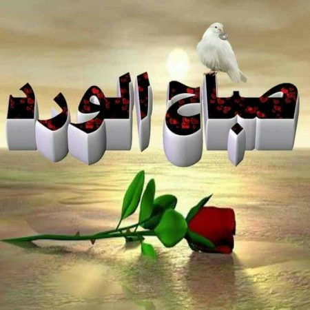 صباح الورد