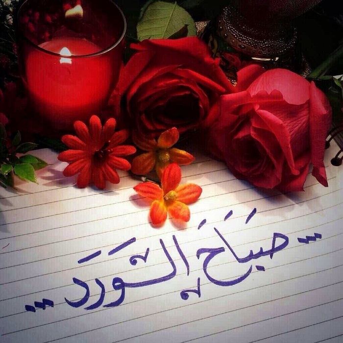 صباح الورد حبيبي