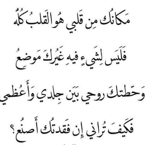 شعر عيد الحب بالصور ٨