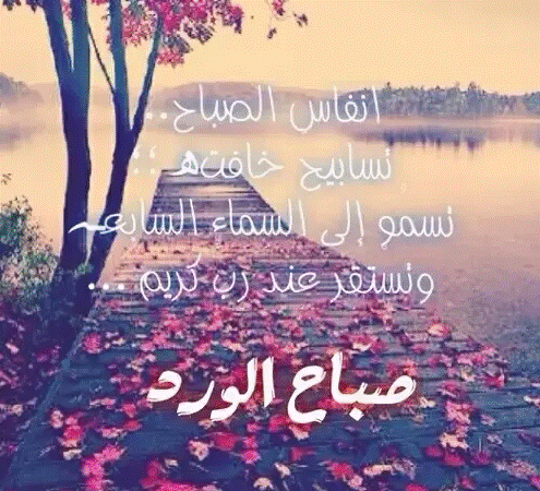 صباح النور والسعادة والسرور