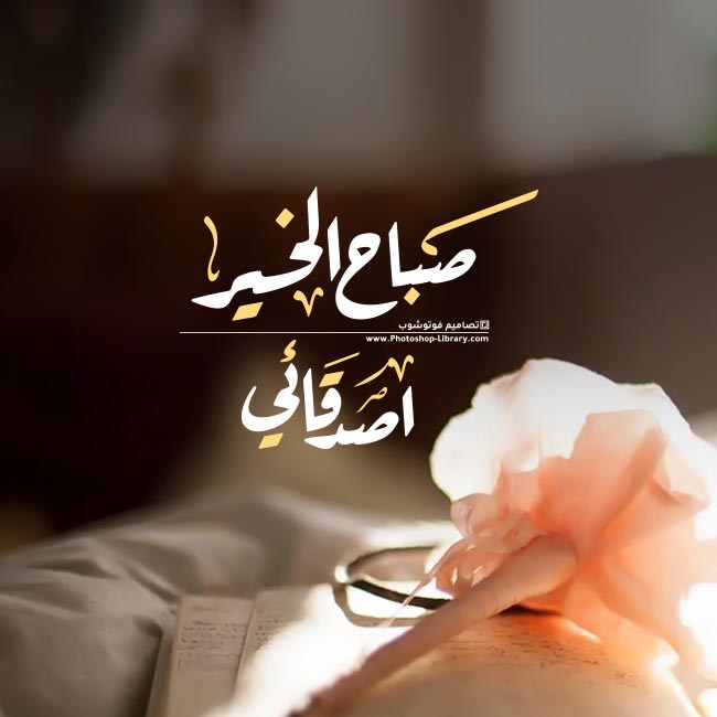 صباح الورد والياسمين للاصدقاء