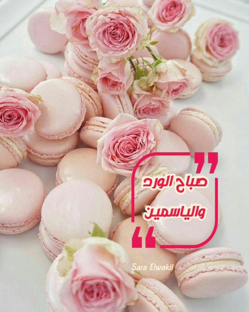 صباح الورد والياسمين