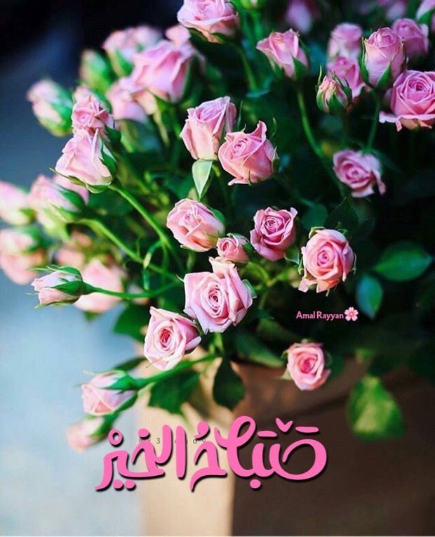 مسجات صباح الخير رومانسية