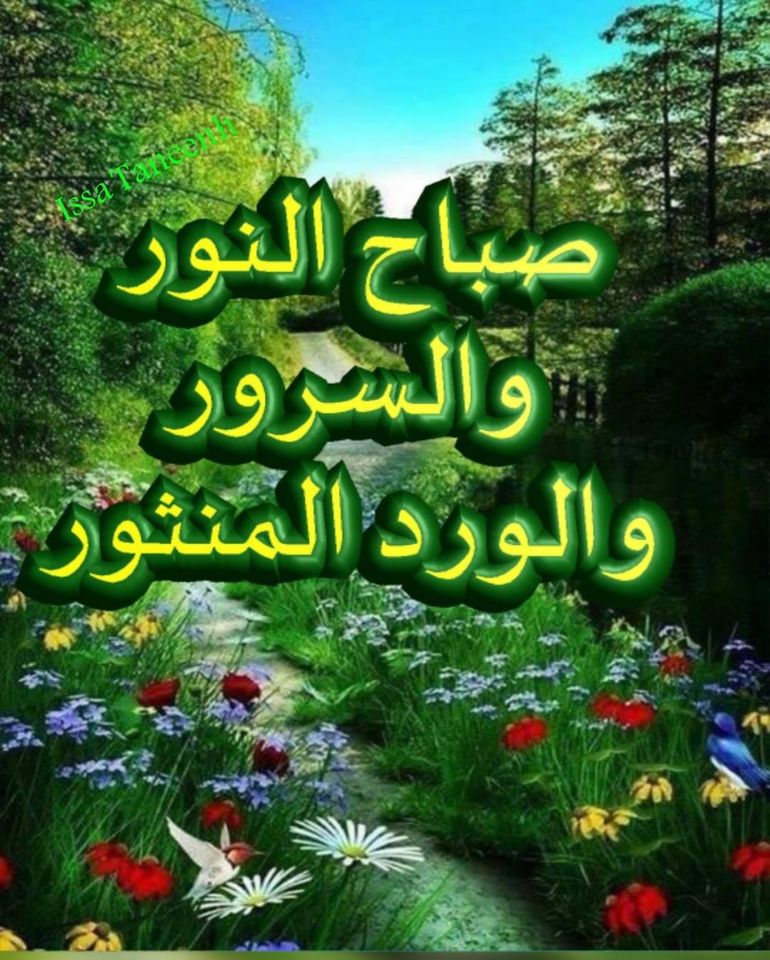 صباح النور والسرور والورد المنثور3