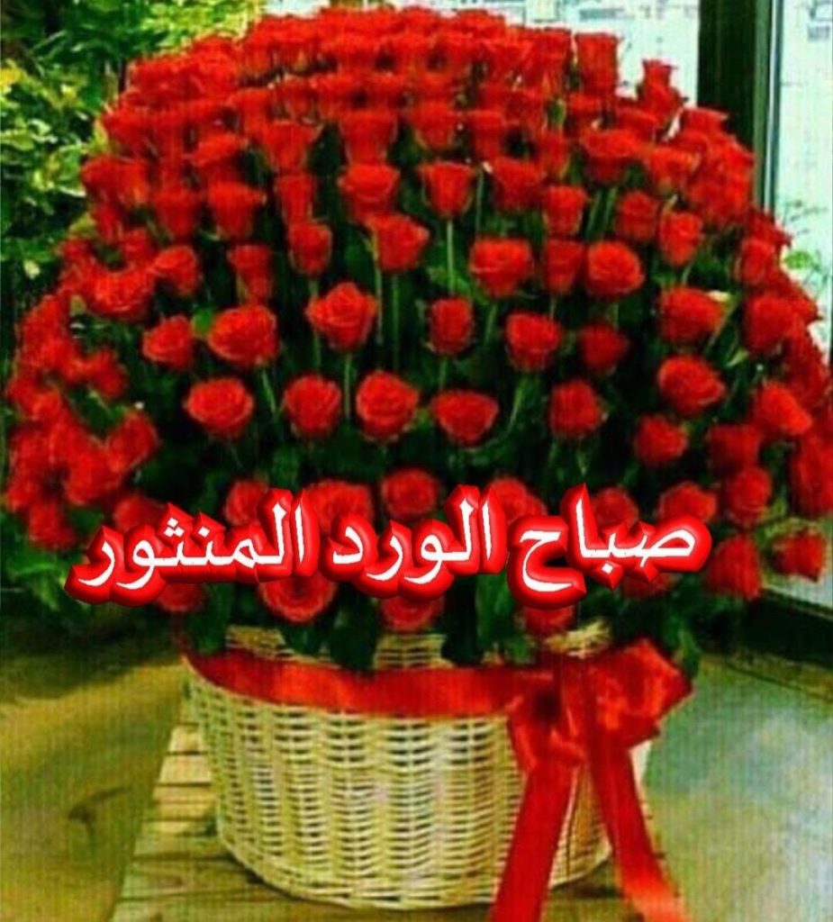 صباح النور والسرور والورد المنثور4