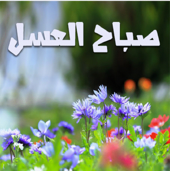 صباح العسل