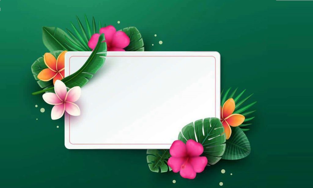 4خلفيات ورد للتصميم
