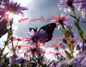 صباح النور والسرور حبيبي