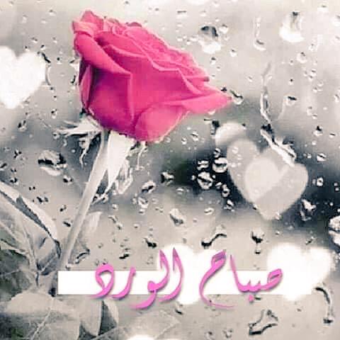 صباح العشق