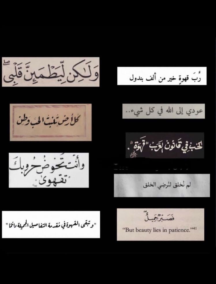 ملصقات سناب كلام عن حب ٣