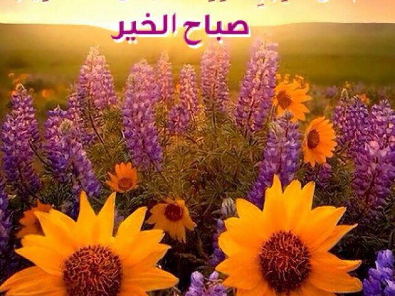 صباح الخير رومانسية