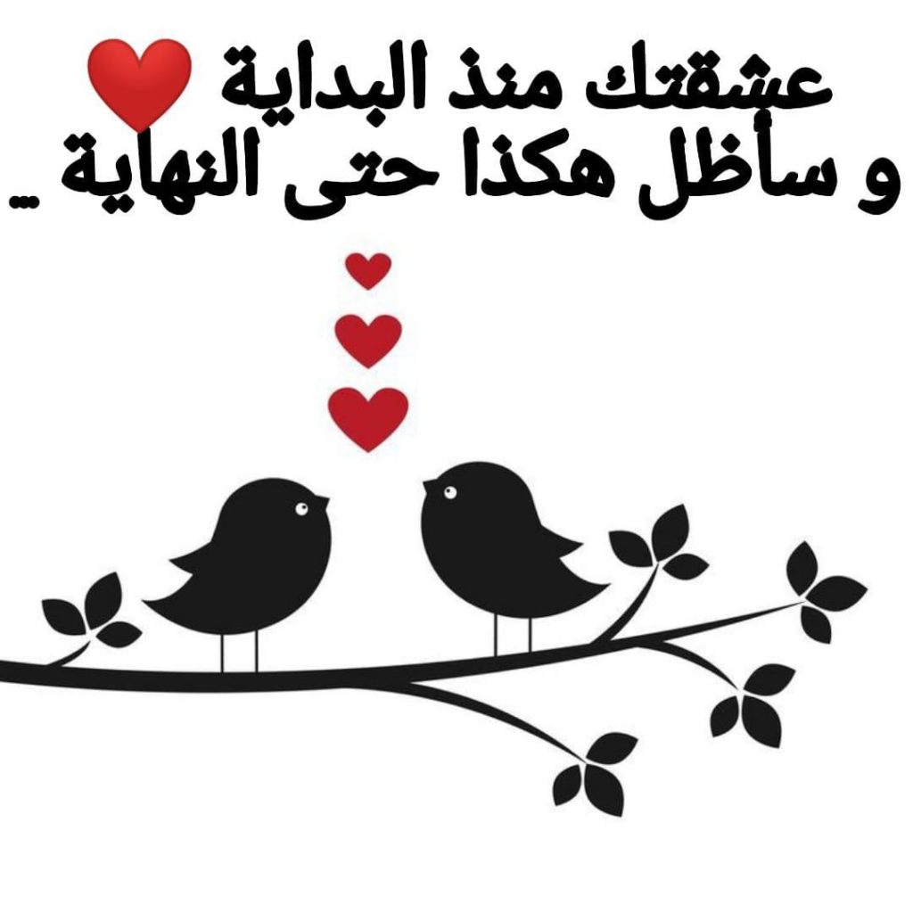 ملصقات سناب حب ٦