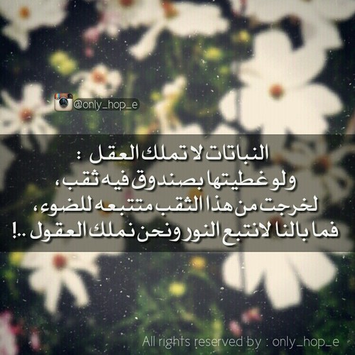 عبارات سناب شات حلوه بالصور ٢