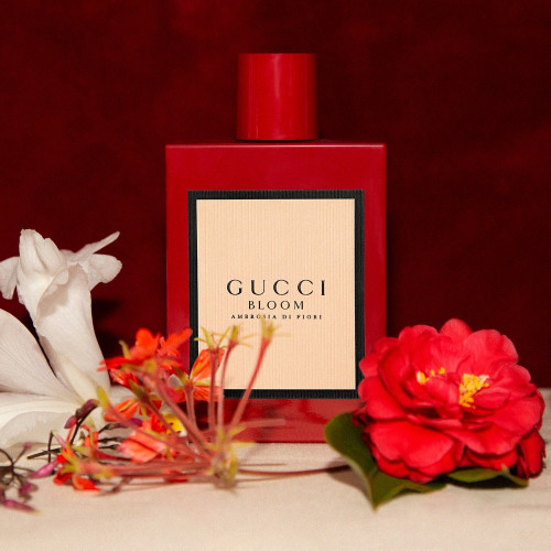 مكونات عطر قوتشي بلوم الأحمر
