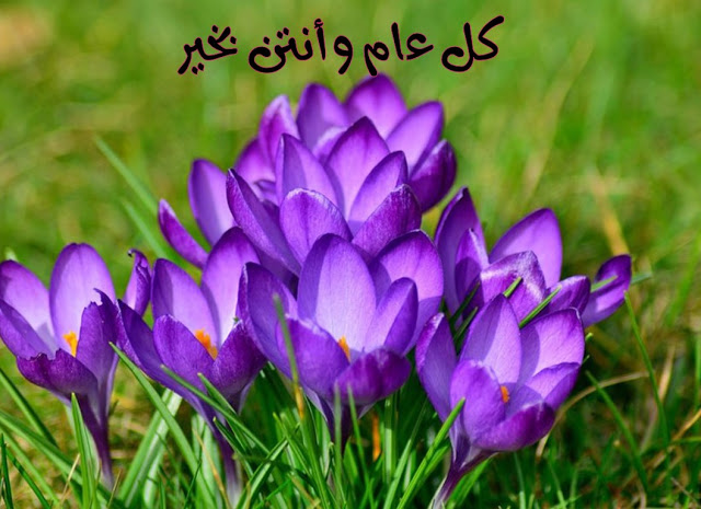 أجمل تهنئة عيد المرأة 8 مارس بالصور ٤